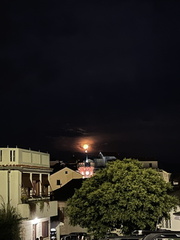 IMG 8465