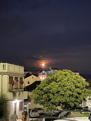 IMG 8468