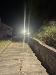 IMG 8556