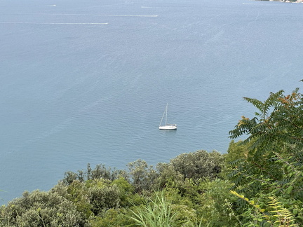 IMG 0871
