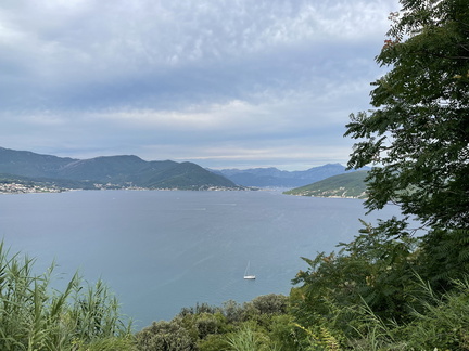 IMG 0870