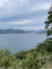 IMG 0867