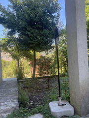 IMG 0793